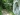 Fork Maestaina Vigne. Fork Maestaina Vigne.