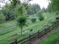 Giardino di Montagna, Parco dell´Orecchiella Giardino di Montagna, Parco dell´Orecchiella