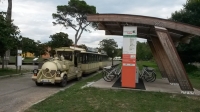 Parco di San Rossore, Trenino visite guidate