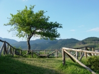 La Rocca di Castiglione - Giardino. La Rocca di Castiglione - Giardino.