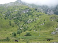 La Val Serenaia La Val Serenaia